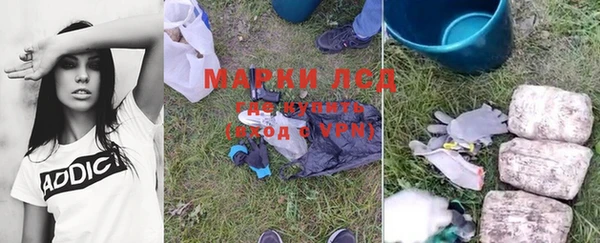 ГАЛЛЮЦИНОГЕННЫЕ ГРИБЫ Алексеевка