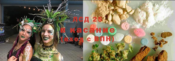 ГАЛЛЮЦИНОГЕННЫЕ ГРИБЫ Алексеевка