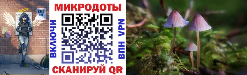 mega онион  магазин продажи наркотиков  Бирюсинск  Псилоцибиновые грибы Cubensis 